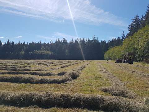 Mason Bluff Turf Farm