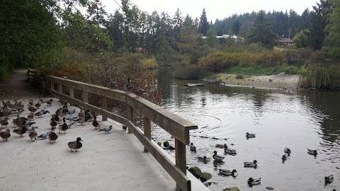 Sechelt Marsh