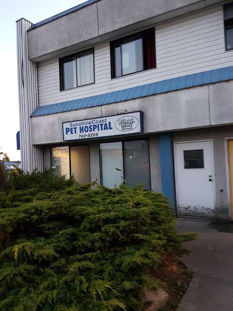 Sunshine Coast Pet Hospital Sunshine Coast Pet Hospital